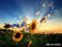 北京安辰德泰科技有限公司