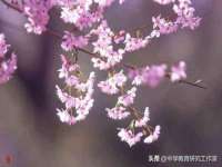北京安辰德泰科技有限公司