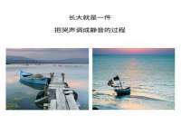 北京安辰德泰科技有限公司