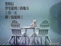 北京安辰德泰科技有限公司