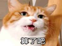 北京安辰德泰科技有限公司