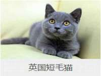 北京安辰德泰科技有限公司