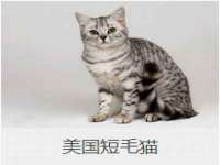 北京安辰德泰科技有限公司