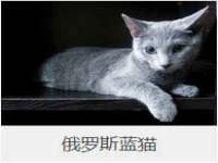 北京安辰德泰科技有限公司