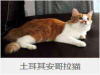 北京安辰德泰科技有限公司