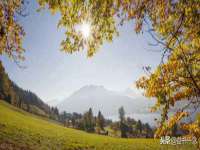 北京安辰德泰科技有限公司