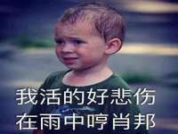 北京安辰德泰科技有限公司