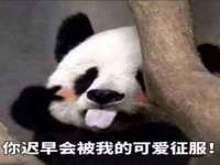 北京安辰德泰科技有限公司