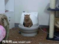 北京安辰德泰科技有限公司