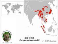 北京安辰德泰科技有限公司