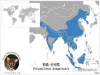 北京安辰德泰科技有限公司