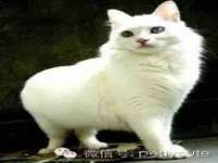 北京安辰德泰科技有限公司