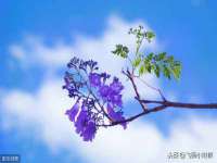 北京安辰德泰科技有限公司