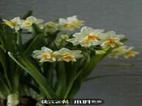北京安辰德泰科技有限公司