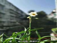 北京安辰德泰科技有限公司