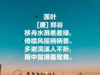 北京安辰德泰科技有限公司