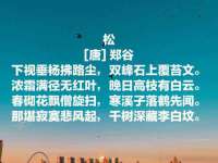 北京安辰德泰科技有限公司