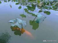 北京安辰德泰科技有限公司