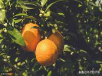 北京安辰德泰科技有限公司