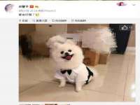 北京安辰德泰科技有限公司