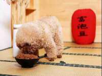 北京安辰德泰科技有限公司