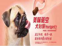 北京安辰德泰科技有限公司