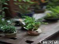 北京安辰德泰科技有限公司