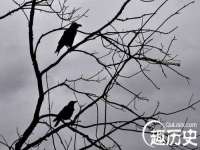 北京安辰德泰科技有限公司