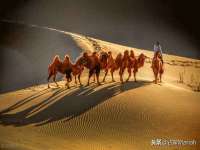 北京安辰德泰科技有限公司