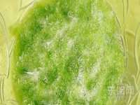 北京安辰德泰科技有限公司