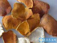 北京安辰德泰科技有限公司