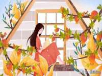北京安辰德泰科技有限公司