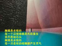 北京安辰德泰科技有限公司