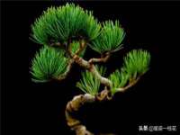 北京安辰德泰科技有限公司